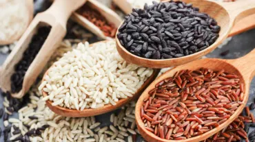 Rice (1).webp